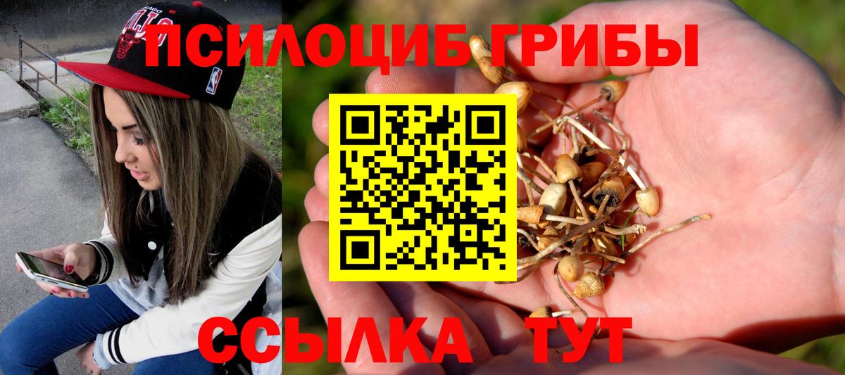 Галлюциногенные грибы Magic Shrooms  Вход с VPN  Костомукша 